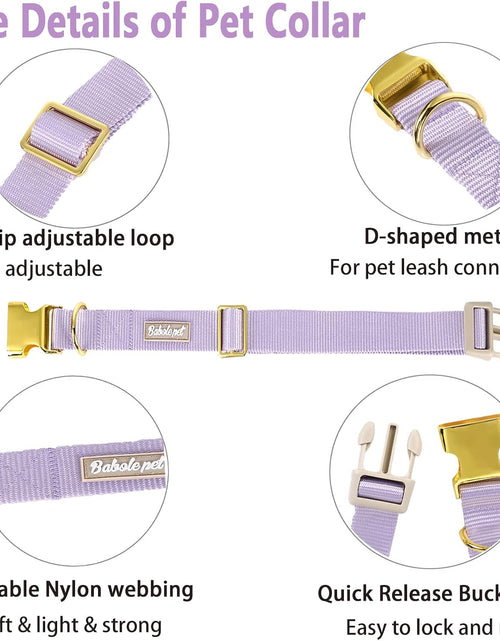 Load image into Gallery viewer, Babole Nylon Dog Collars Lavender for Small Puppy Dog,13 Colors,Adjustable Soft Comfortable Pet Collars with Safety Metal Buckle for Medium Large Boy&amp;Girl&amp;Female Dog(S)
