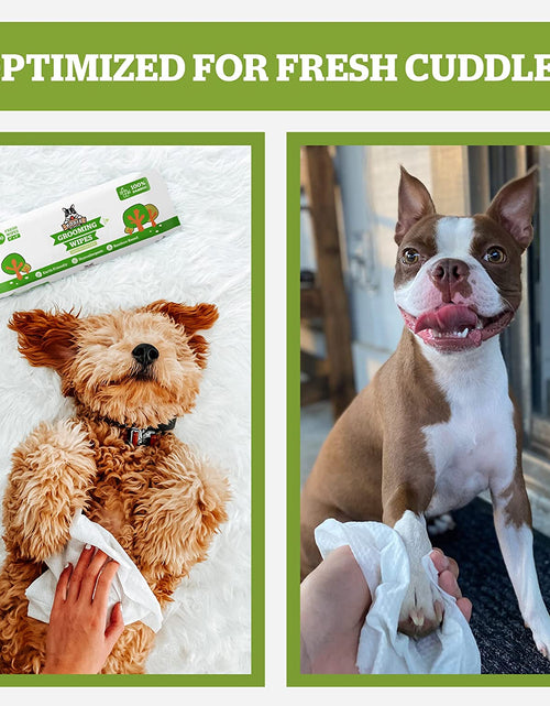 Load image into Gallery viewer, Pogi'S Grooming Wipes - Hypoallergenic Pet Wipes for Dogs &amp; Cats - Plant-Based, Earth-Friendly, Deodorizing Dog Wipes
