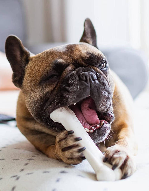 Load image into Gallery viewer, Classic Twin Pack Power Chew Flavored Durable Dog Chew Toy
