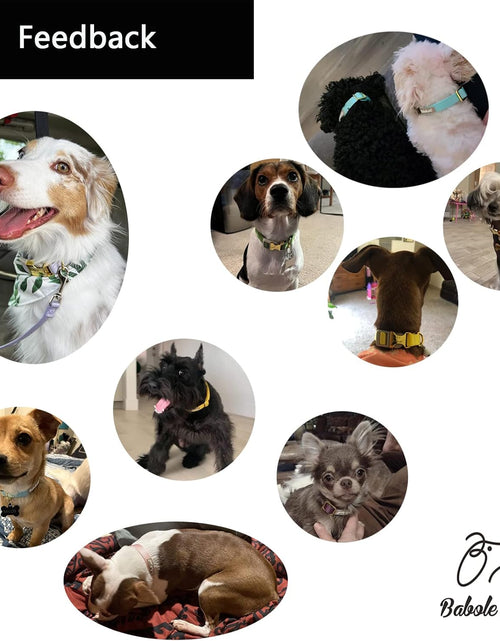 Load image into Gallery viewer, Babole Nylon Dog Collars Lavender for Small Puppy Dog,13 Colors,Adjustable Soft Comfortable Pet Collars with Safety Metal Buckle for Medium Large Boy&amp;Girl&amp;Female Dog(S)
