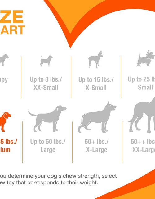 Load image into Gallery viewer, Classic Twin Pack Power Chew Flavored Durable Dog Chew Toy
