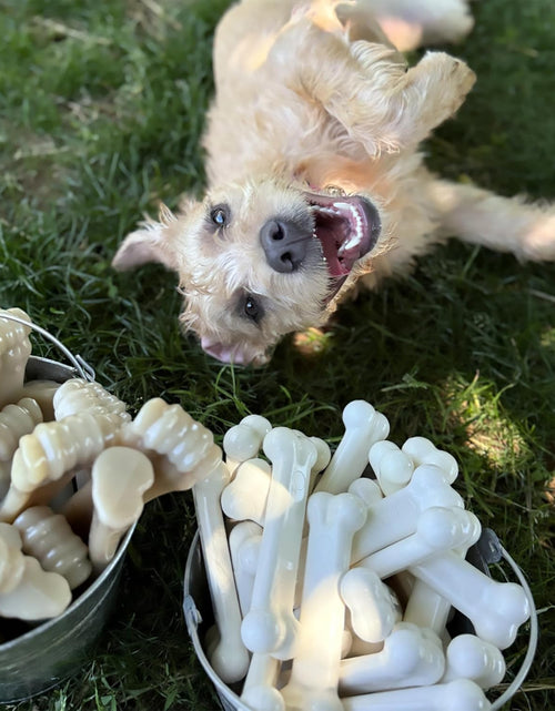 Load image into Gallery viewer, Classic Twin Pack Power Chew Flavored Durable Dog Chew Toy
