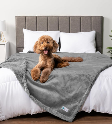 Waterproof Dog Blanket for Queen Bed Large XL Dog Throw for Couch Cover Leakproof Furniture Protection, Sherpa Fleece, Reversible Soft Washable 90X90 Light Gray