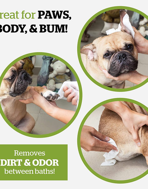 Load image into Gallery viewer, Pogi'S Grooming Wipes - Hypoallergenic Pet Wipes for Dogs &amp; Cats - Plant-Based, Earth-Friendly, Deodorizing Dog Wipes
