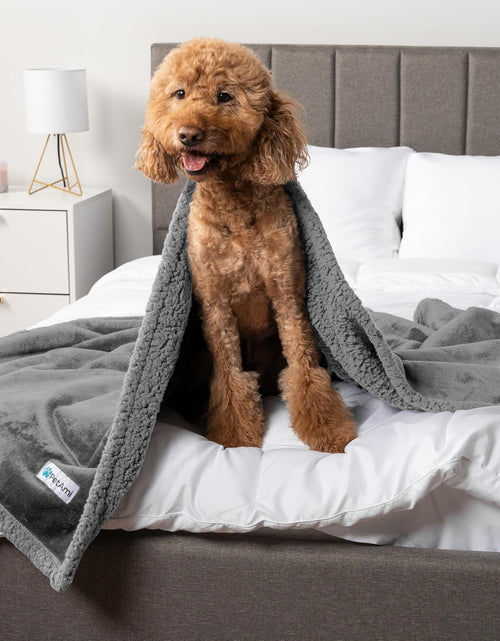 Load image into Gallery viewer, Waterproof Dog Blanket for Queen Bed Large XL Dog Throw for Couch Cover Leakproof Furniture Protection, Sherpa Fleece, Reversible Soft Washable 90X90 Light Gray
