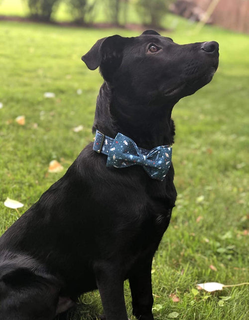 Load image into Gallery viewer, Dog Collar with Bow, Cotton &amp; Webbing, Bowtie Dog Collar, Adjustable Dog Collars for Small Medium Large Dogs and Cats
