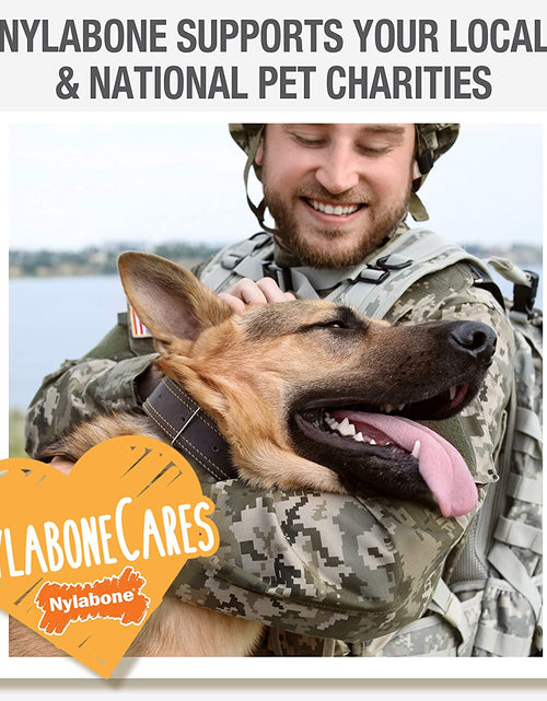 Load image into Gallery viewer, Classic Twin Pack Power Chew Flavored Durable Dog Chew Toy
