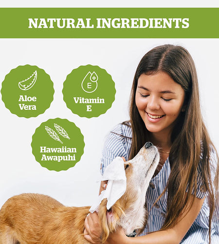 Pogi'S Grooming Wipes - Hypoallergenic Pet Wipes for Dogs & Cats - Plant-Based, Earth-Friendly, Deodorizing Dog Wipes