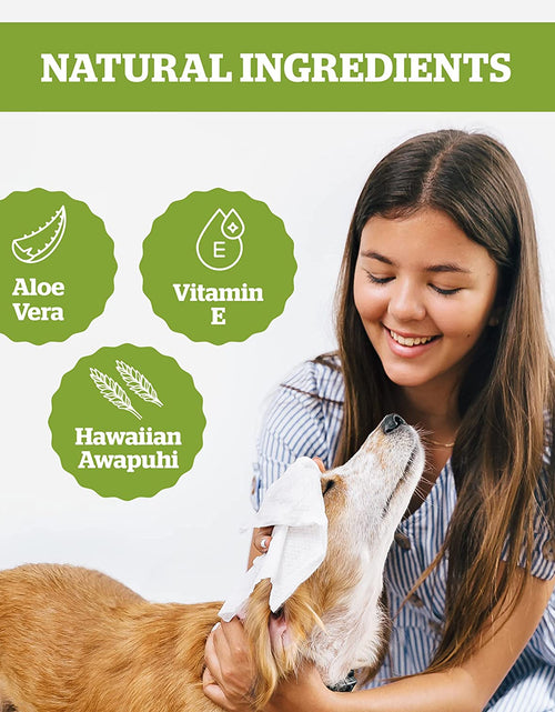 Load image into Gallery viewer, Pogi'S Grooming Wipes - Hypoallergenic Pet Wipes for Dogs &amp; Cats - Plant-Based, Earth-Friendly, Deodorizing Dog Wipes
