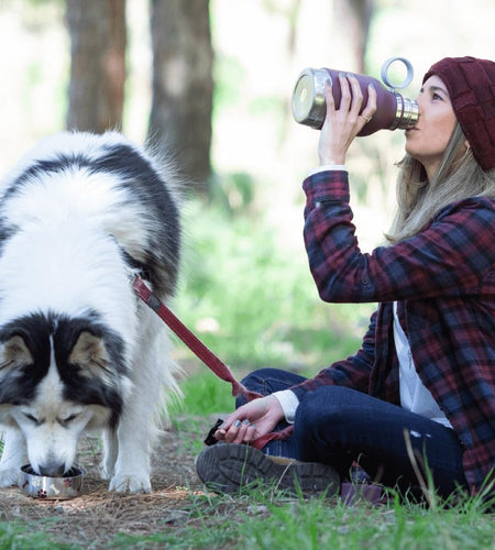 Dog Bowl Attached to Stainless Steel Insulated Bottle 1 Liter (Burgundy)