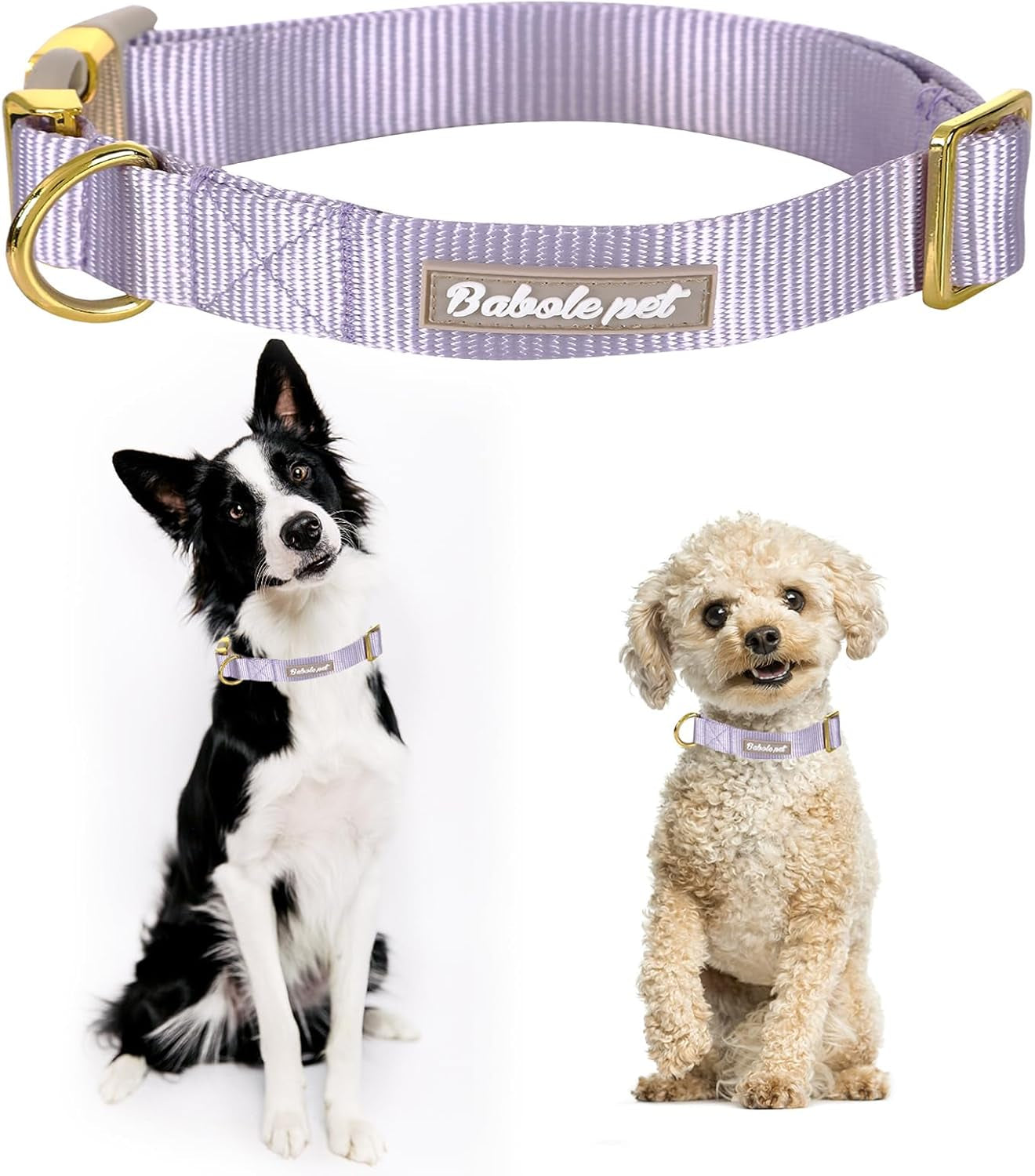 Babole Nylon Dog Collars Lavender for Small Puppy Dog,13 Colors,Adjustable Soft Comfortable Pet Collars with Safety Metal Buckle for Medium Large Boy&Girl&Female Dog(S)