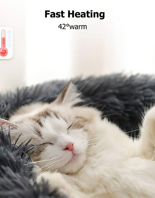 Load image into Gallery viewer, Dog Bed, Dog Beds for Medium Dogs, Small Outdoor Dog Beds, Washable Dog Bed and Cat Bed, Faux Fur Pet Bed, Anti-Slip Dog Bed Cat Bed

