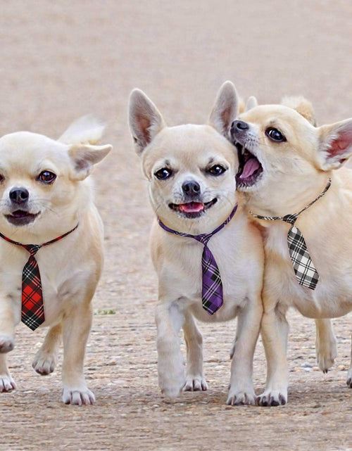 Load image into Gallery viewer, Dog Neck Ties, 30 PCS Dog Ties, Adjustable Dog Neckties for Medium Large Dog, Bulk Pet Bow Ties Collar
