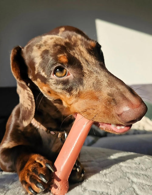 Load image into Gallery viewer, Classic Twin Pack Power Chew Flavored Durable Dog Chew Toy
